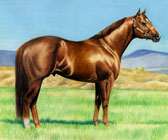 Western, Equine Art - Quarter Horse Stud